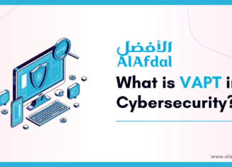 What is VAPT in Cybersecurity?