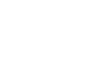 Orbvest-Logo