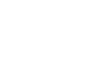 Ozow-Logo